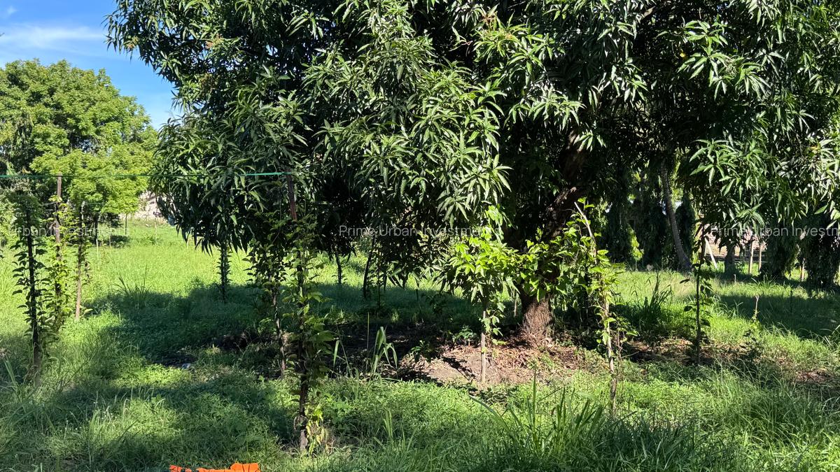 2 ac Land at Mtwapa - Animo - 17