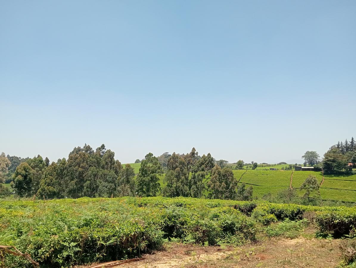 0.5 ac Land in Tigoni - 6