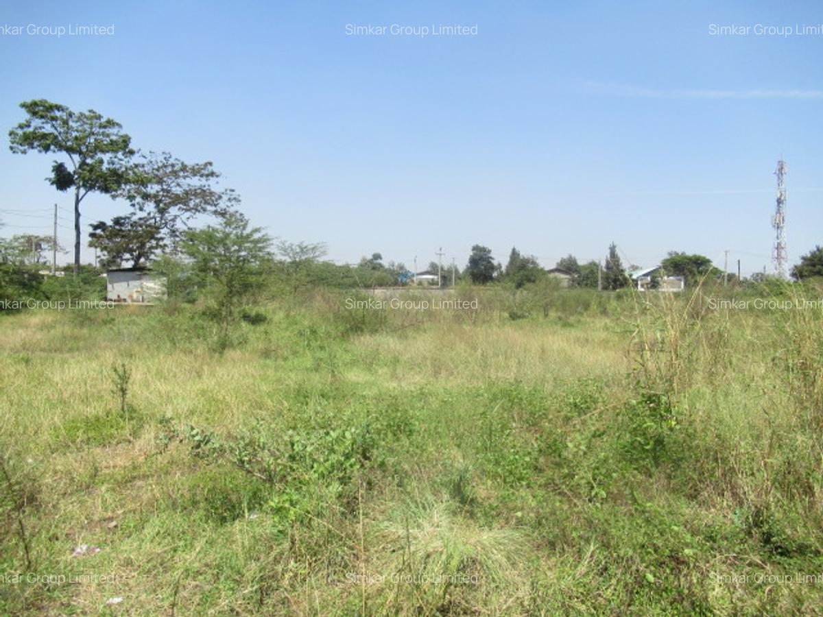 Land at Nyasa Rd - 2