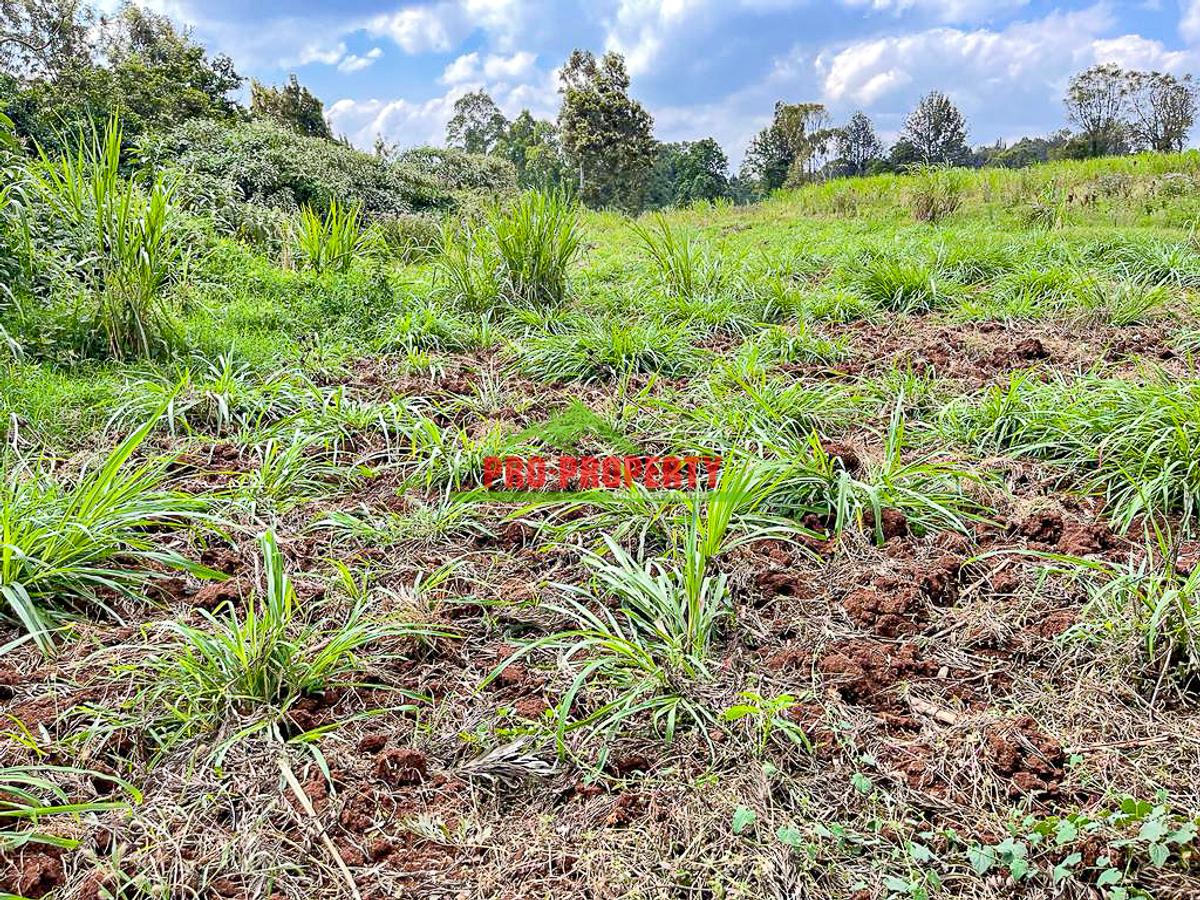 7.5 ac Land in Kikuyu Town - 8