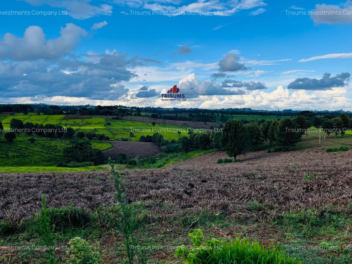 40 ac Land in Limuru - 8