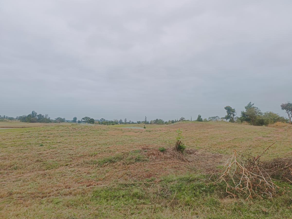 0.25 ac Land at Thika Greens Golf Estate - 7