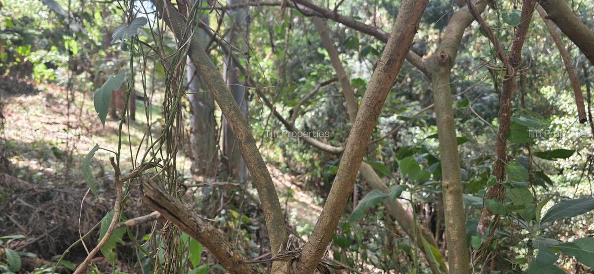 Land in Kitisuru - 3