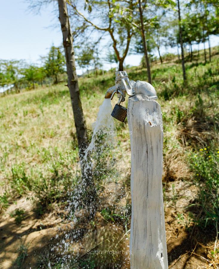 0.125 ac Residential Land in Naivasha - 10