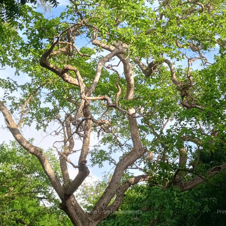 90 ac Residential Land at Kuruwitu-Vipingo - 9