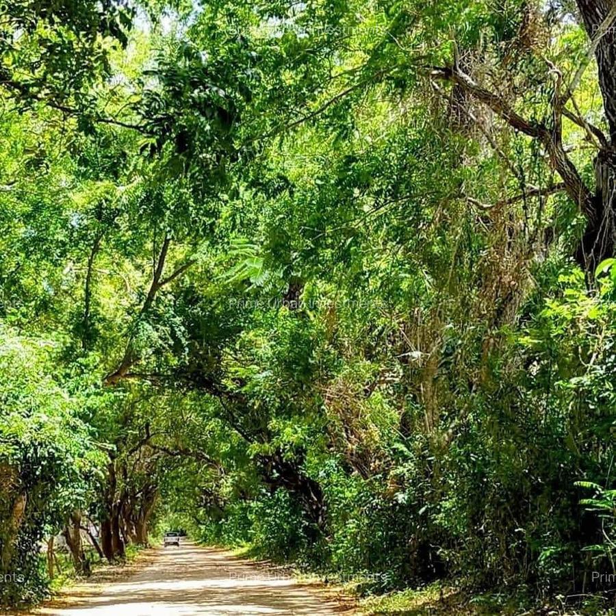 Land in Vipingo - 14