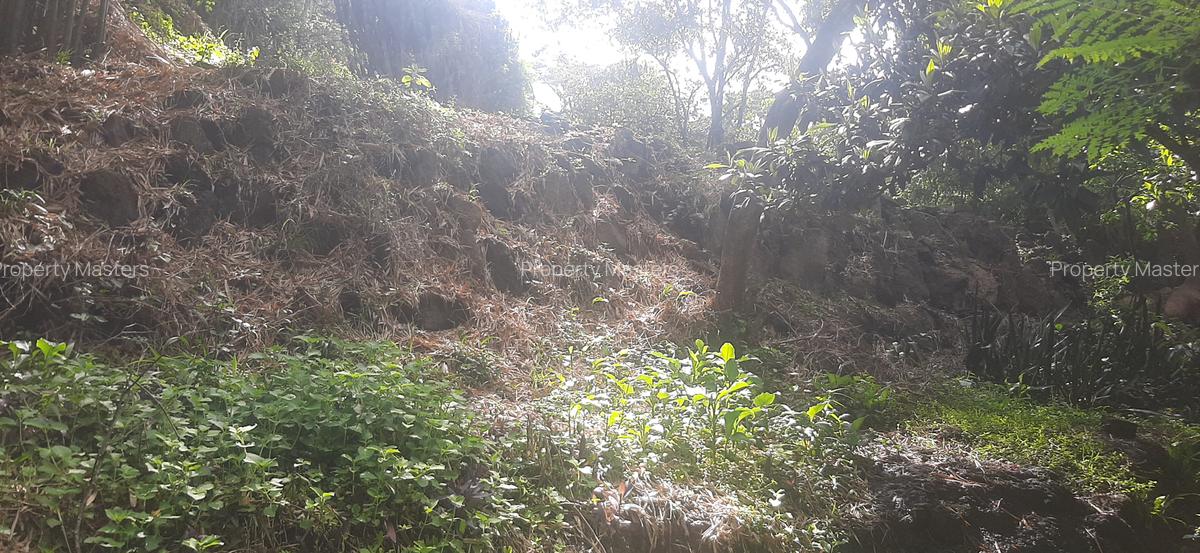 0.75 ac Residential Land at Naivasha Road - 14