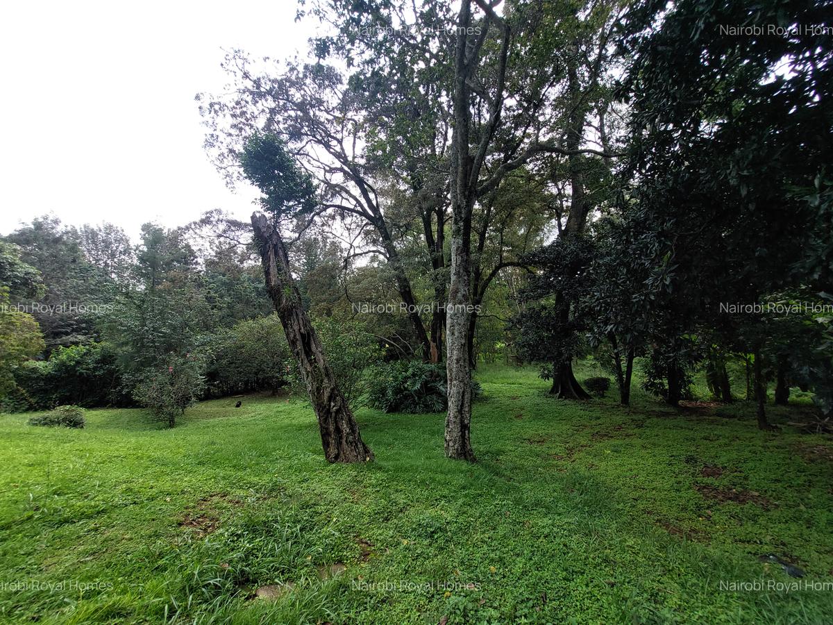 Residential Land at Lavinhton Area - 9