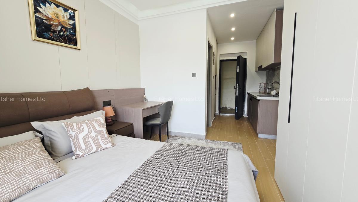 Studio Apartment with En Suite in Thika Road - 13