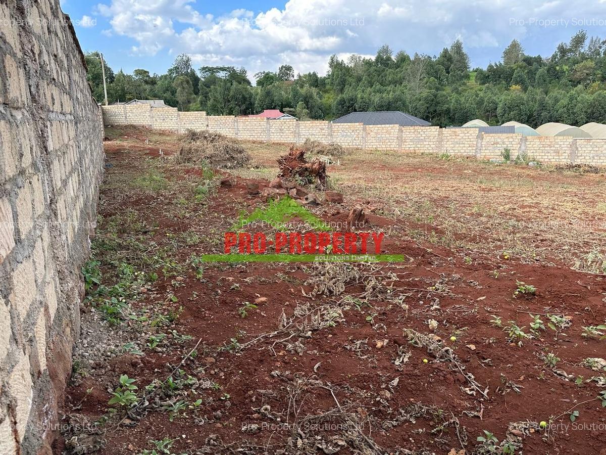 0.46 ha Residential Land at Ondiri - 6