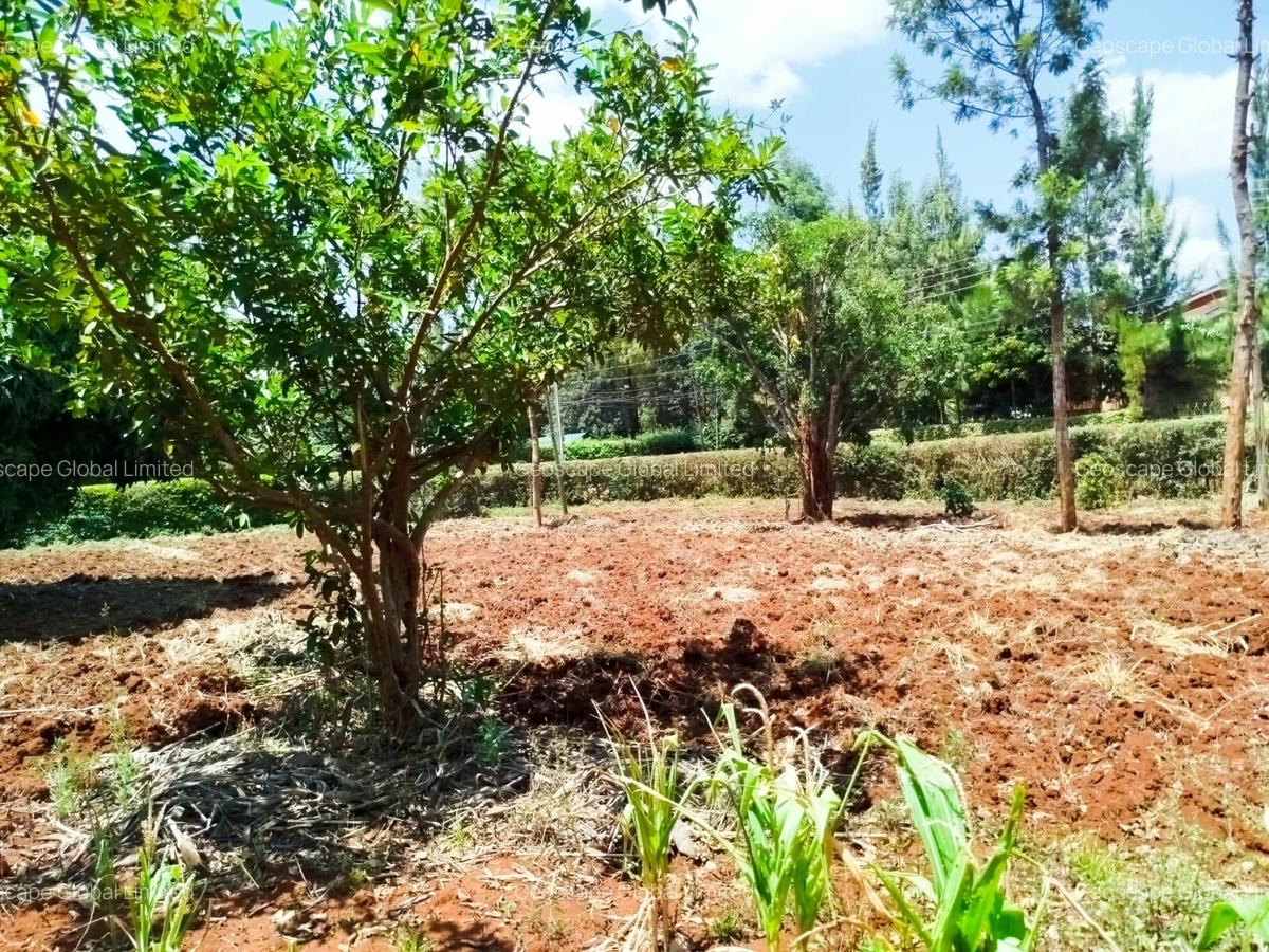 Land in Kiambu Road - 2