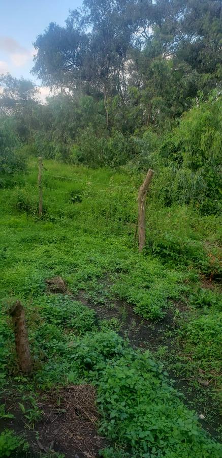 Residential Land in Karen - 11