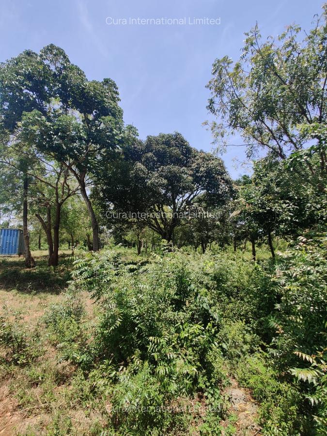 0.25 ac Land in Diani - 4