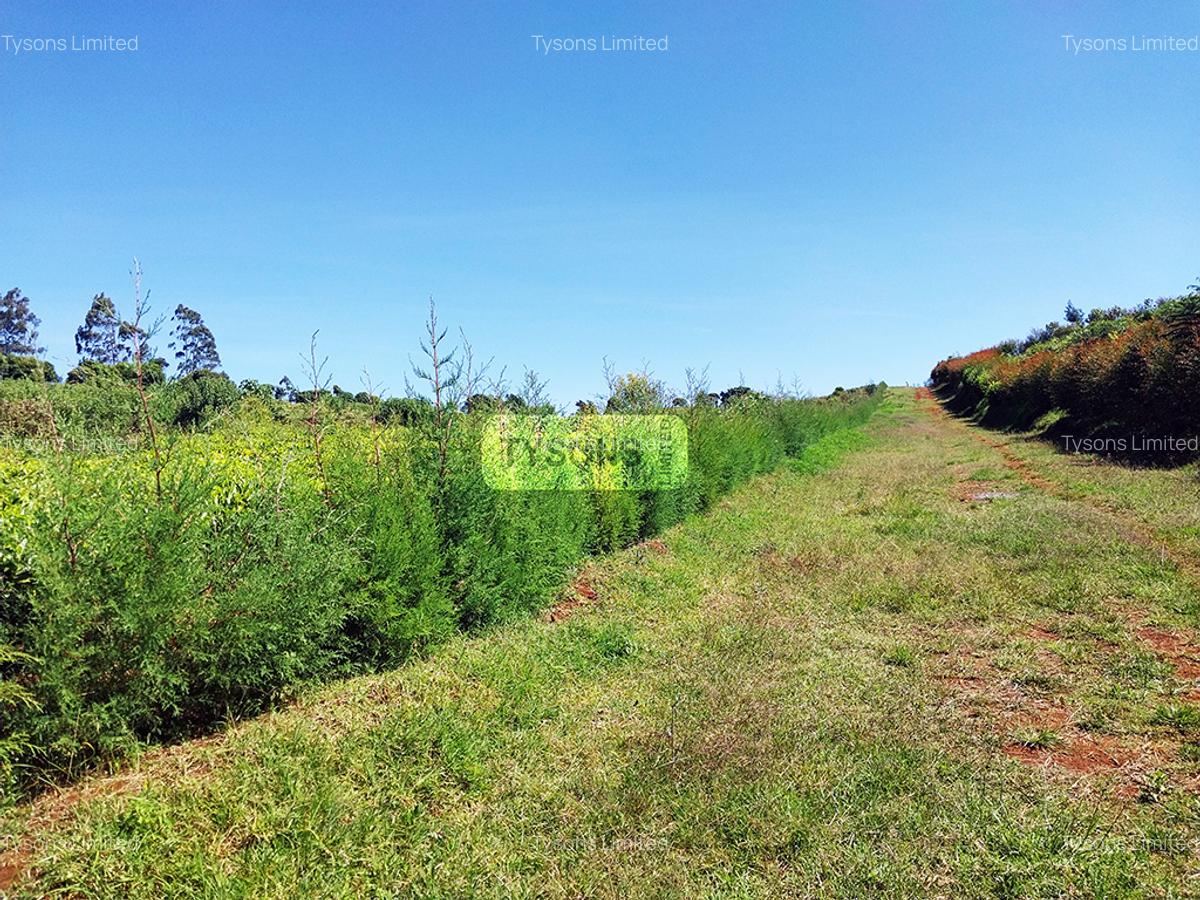 8 ac Land in Tigoni - 6