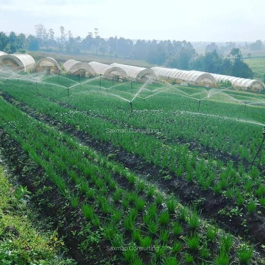 Land in Nakuru County - 5