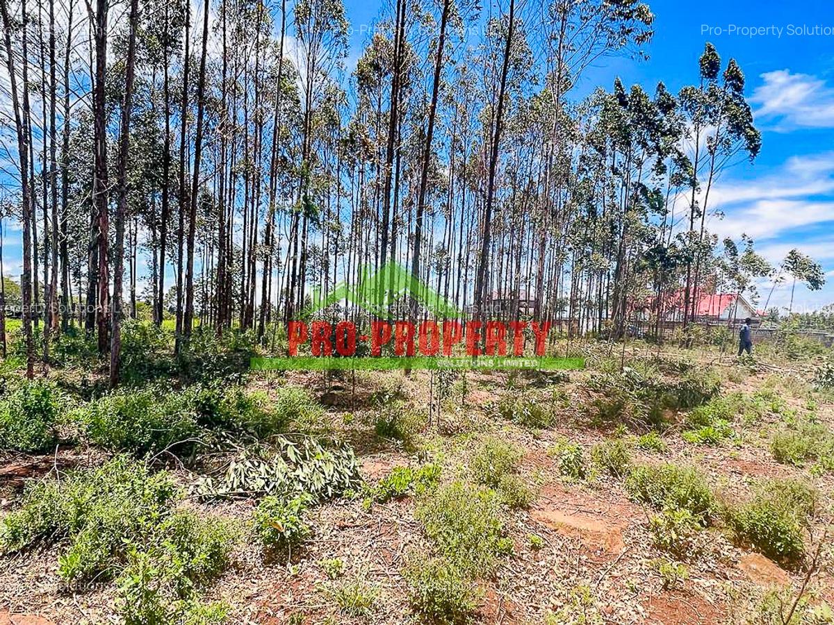 0.05 ha Residential Land in Gikambura - 9