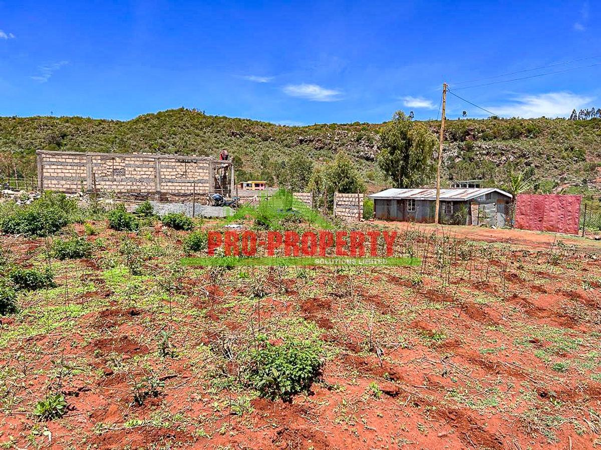 0.05 ha Residential Land at Nachu - 10