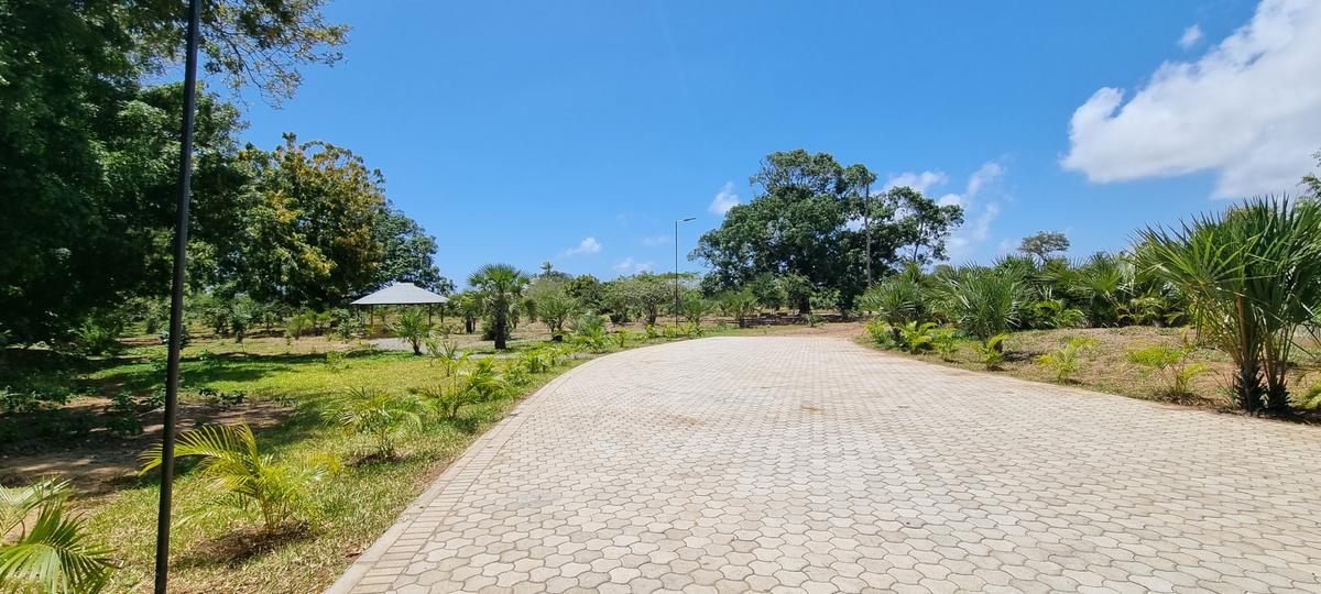 1,000 m² Land at Kuruwitu - 8