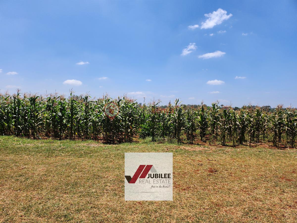 25 ac Land in Kitisuru - 4