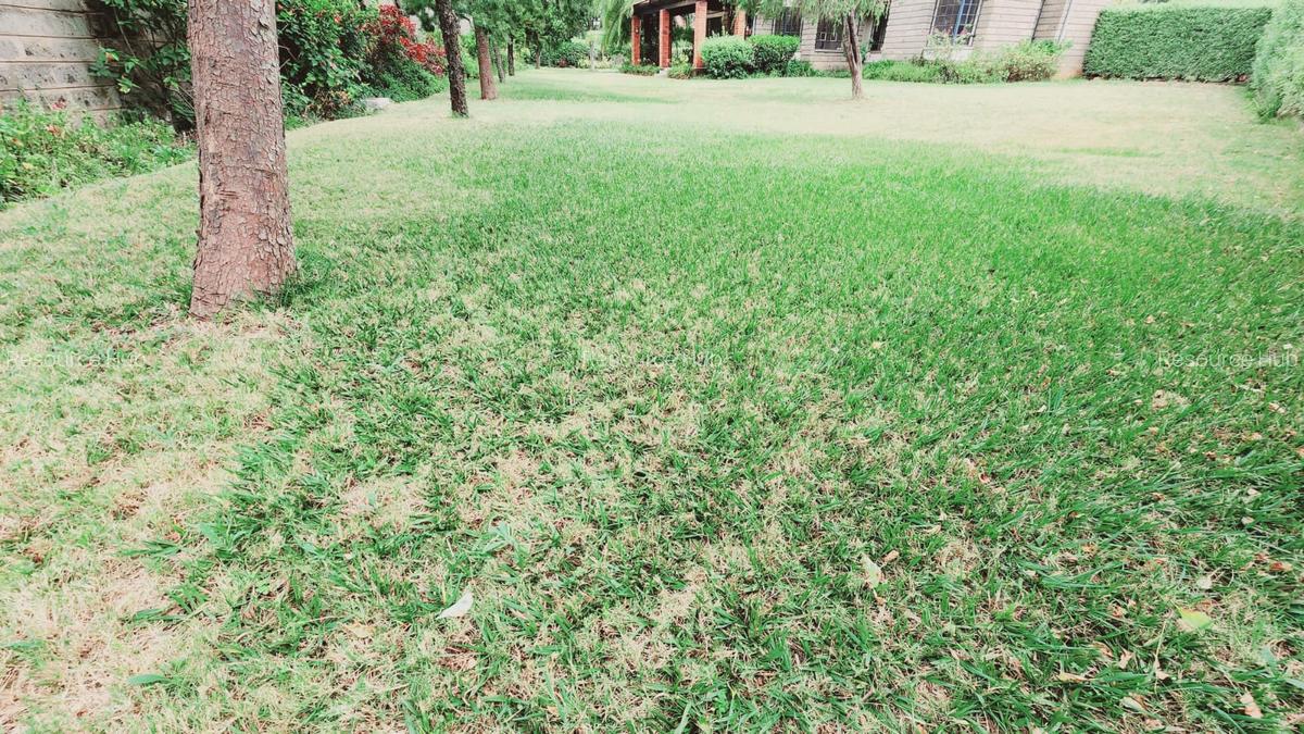 4 Bed House with En Suite at Karen - 5