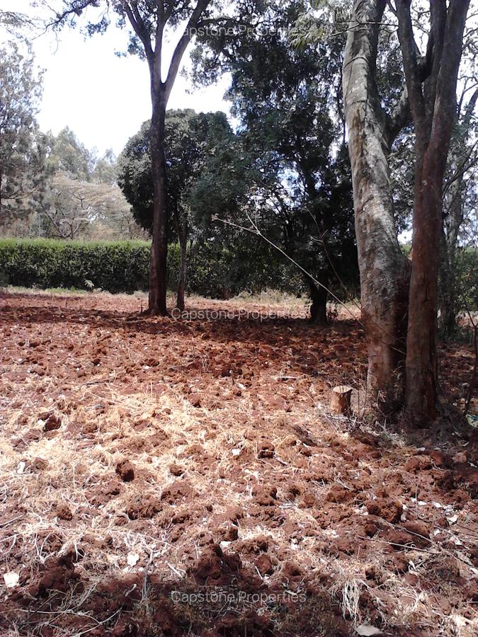 Residential Land at Runda - 1