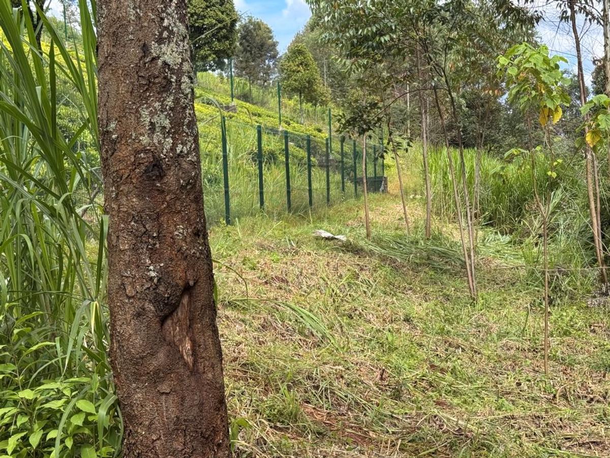 RIVERSPRINGS ESTATE TIGON in Tigoni, Kiambu County - 9