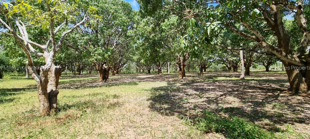 6 ac Land at Mtwapa - 15
