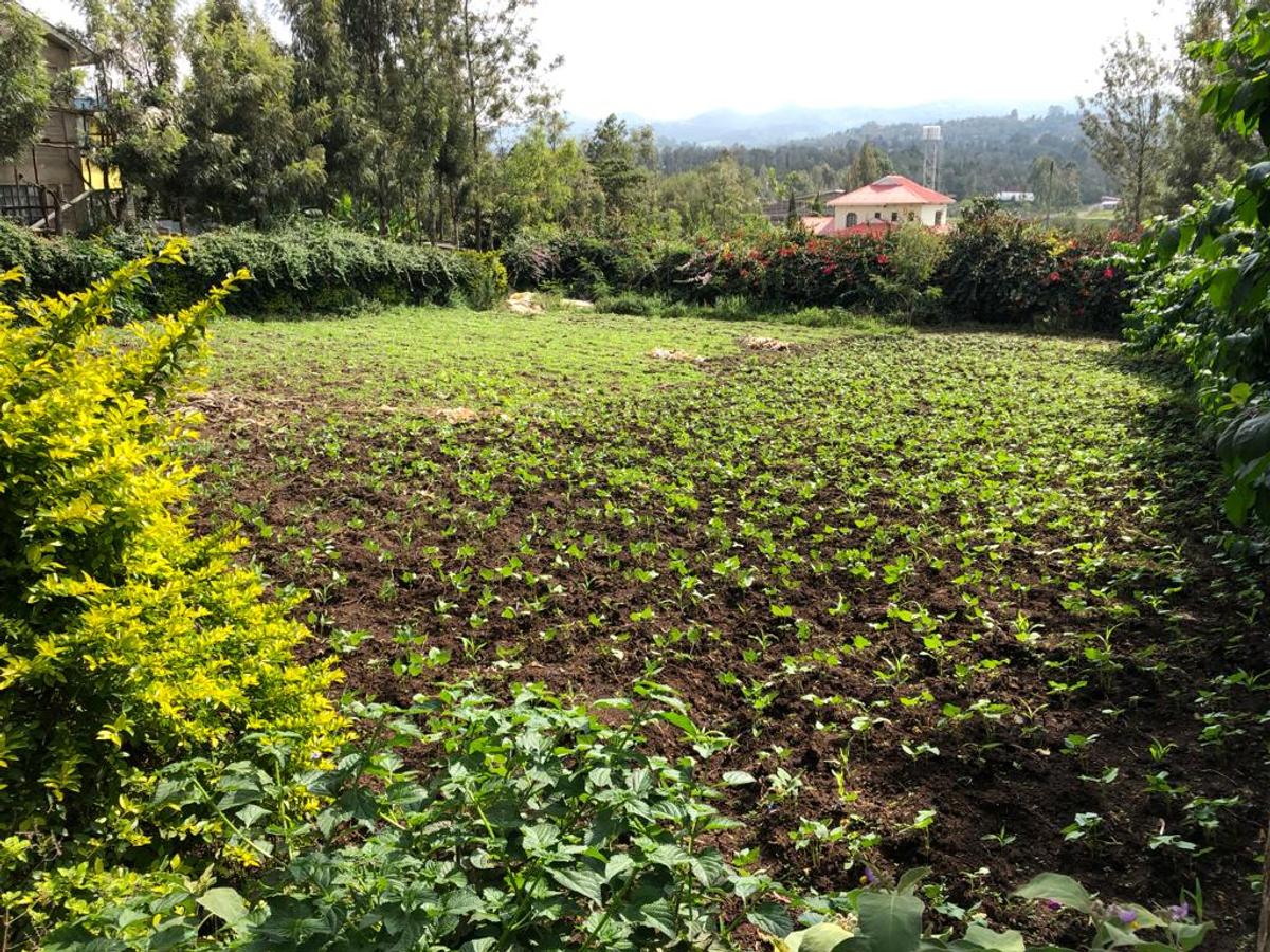 Land at Ngong - 1