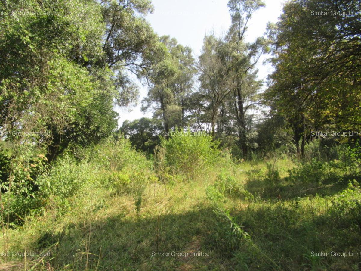 9 ac Land at Karen - 7