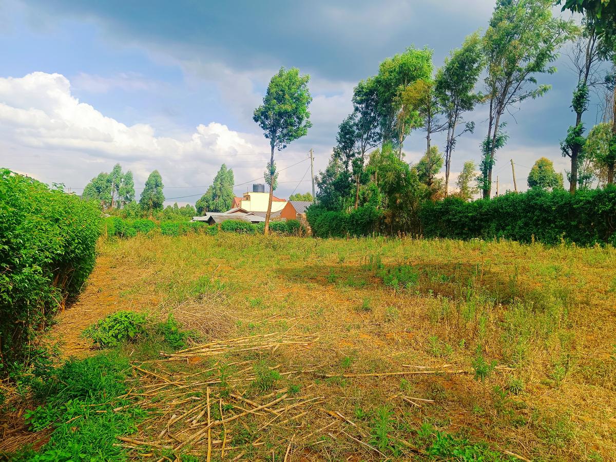 1,000 m² Residential Land at Karie - 3