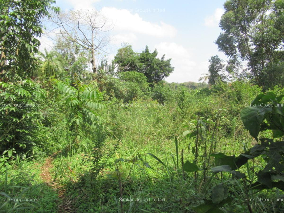 1 ac Land at Runda Grove - 4