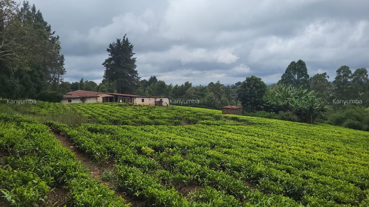 10 ac Land at Tigoni - 4