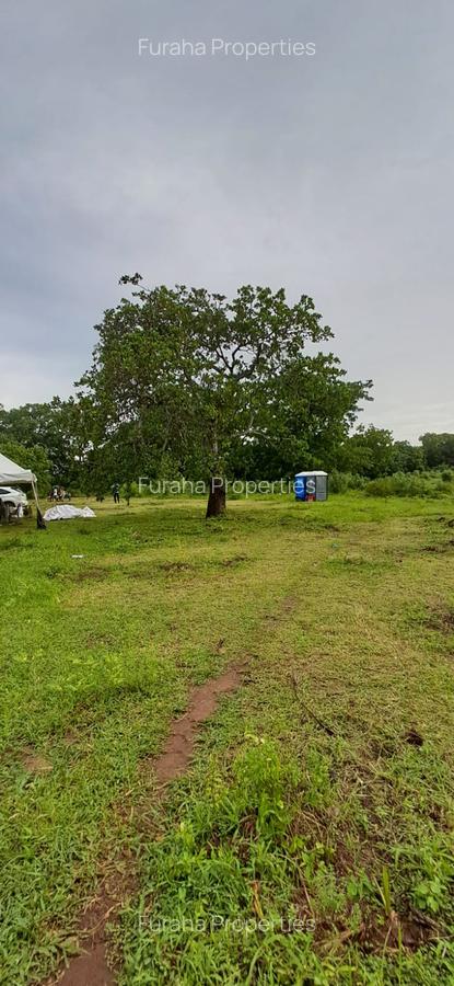 Land in Vipingo - 6