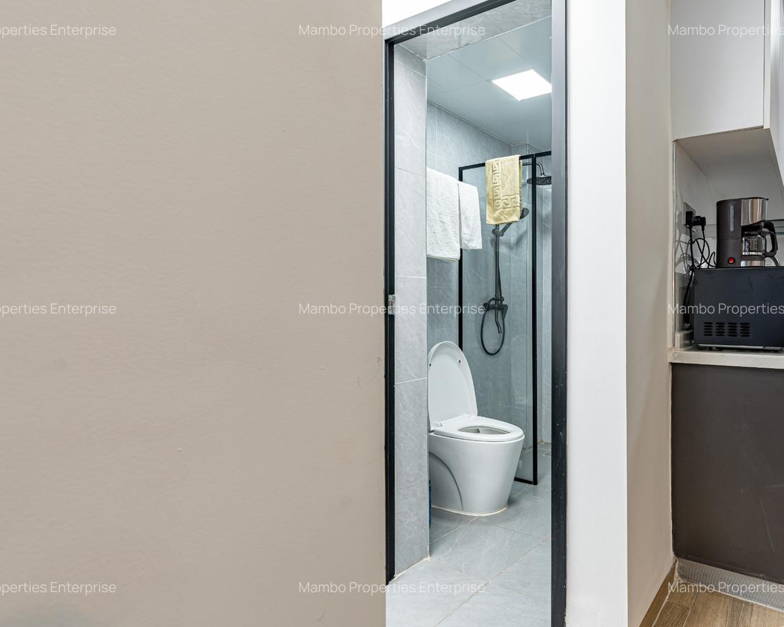 Serviced 1 Bed Apartment with En Suite at David Osieli - 19