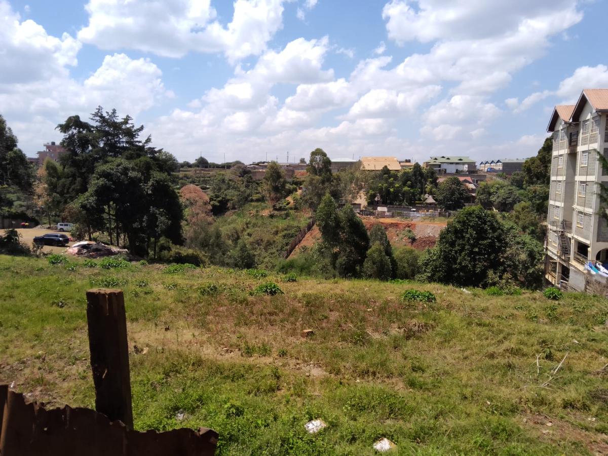 1.25 ac Land in Ruaka - 1