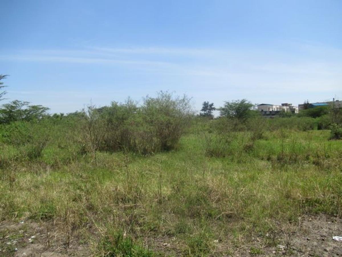 23,796 m² Commercial Land at Nyasa Road - 4