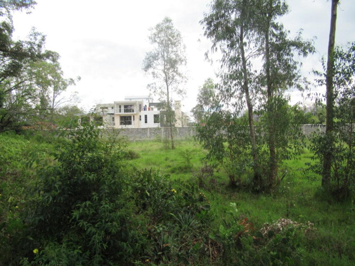 Land at Bogani Rd - 4