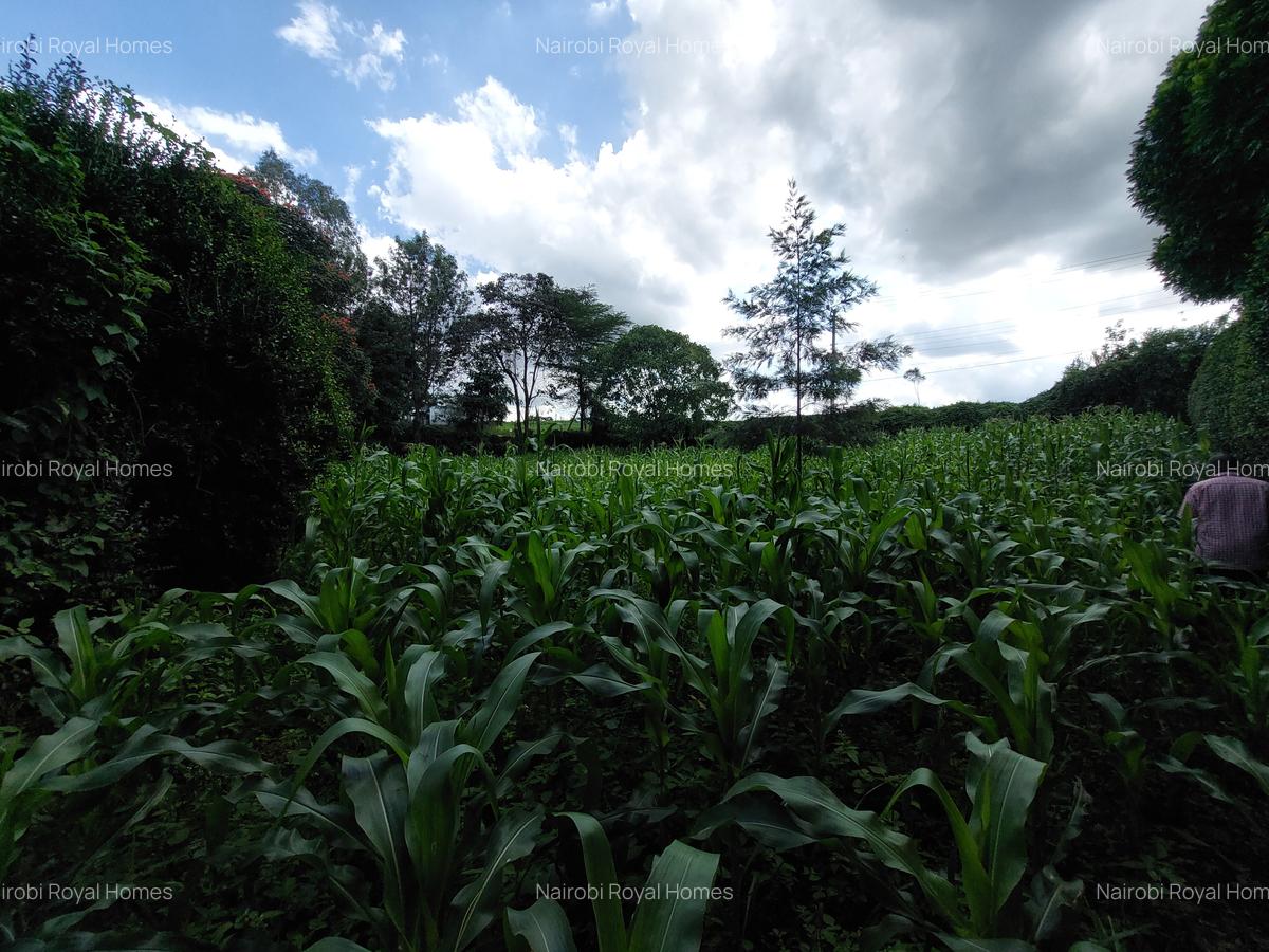 Land at Kirawa Road - 15