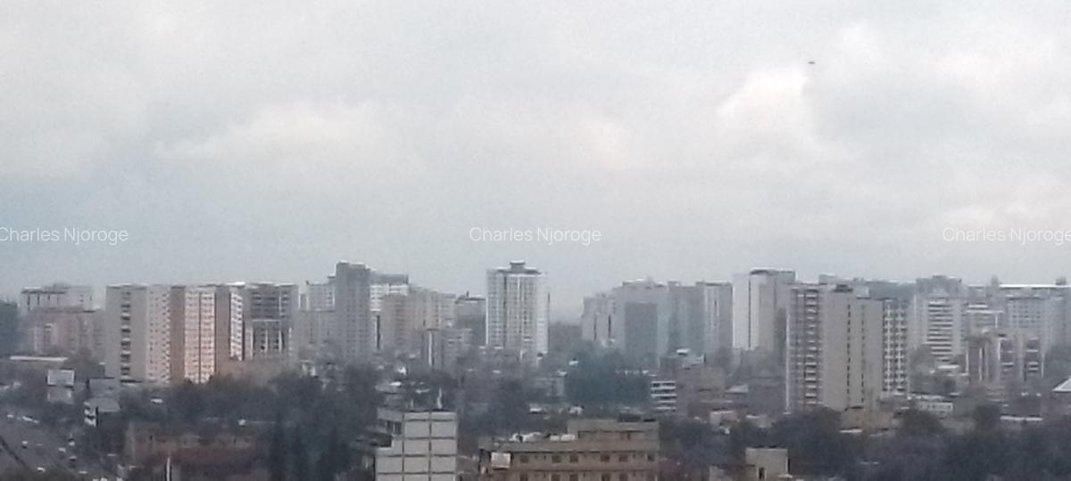 5,000 ft² Commercial Land at 2Nd Avenue - 2