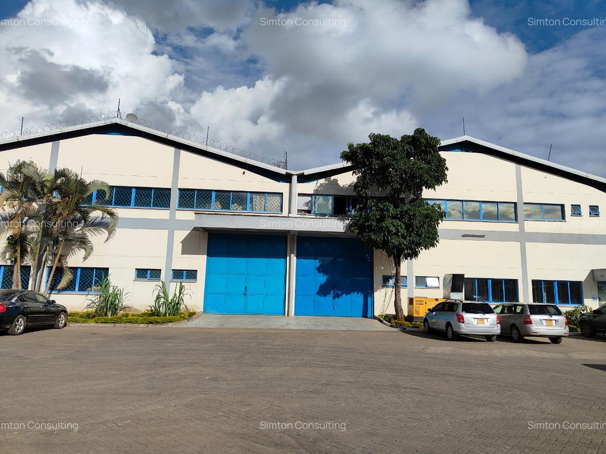 Warehouse with Lift at Cabanus - 15