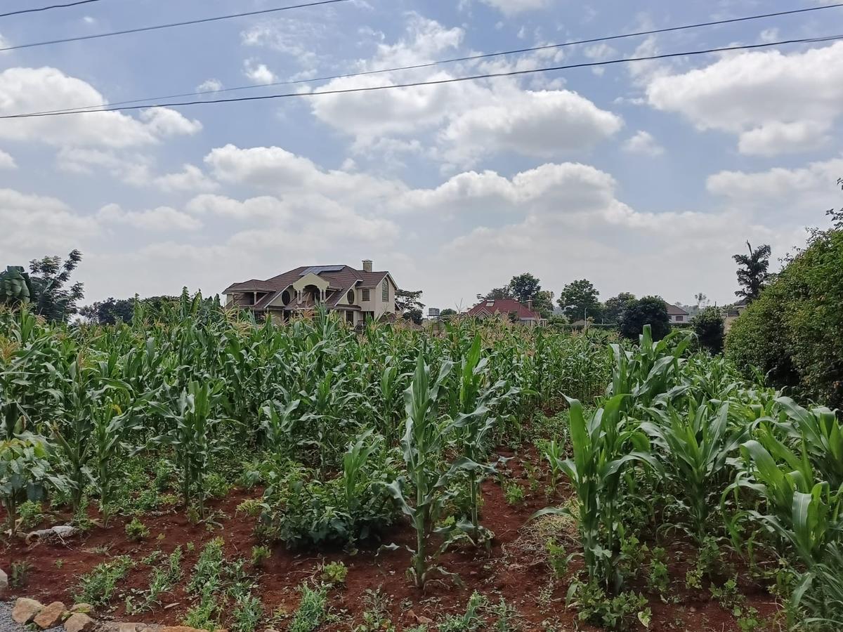 Residential Land at Kiambu Road - 6