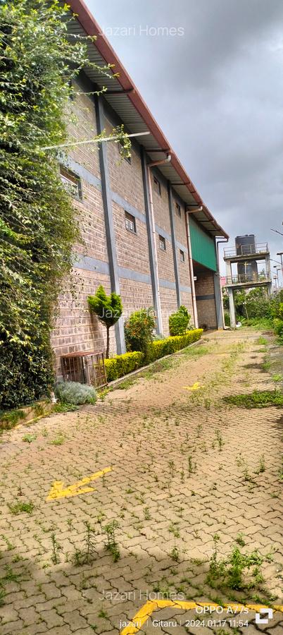 Warehouse with Backup Generator at Zambezi - 6