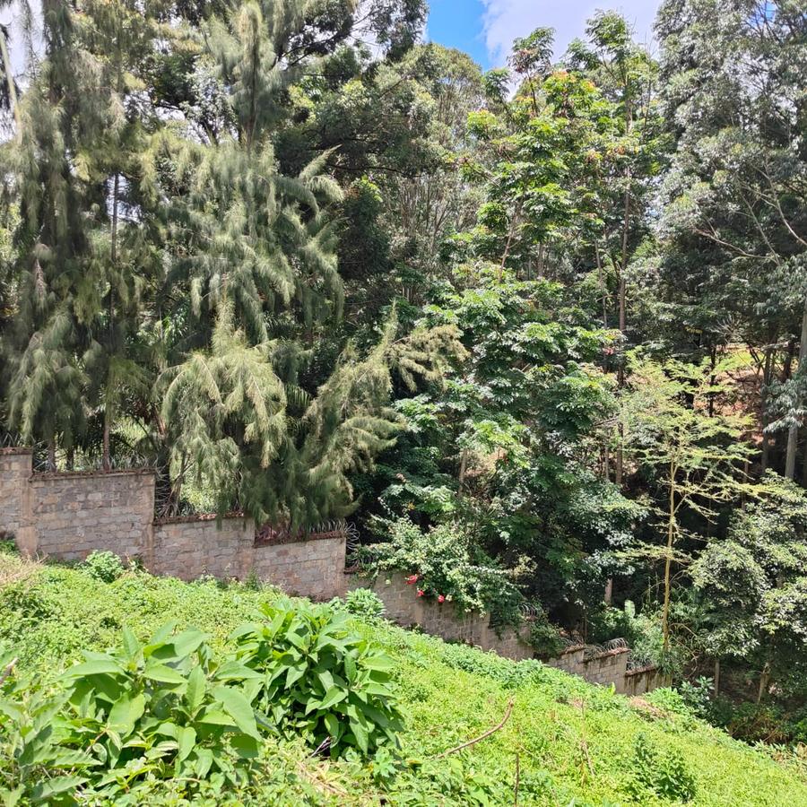 0.5 ac Land at Kitisuru Springs - 16