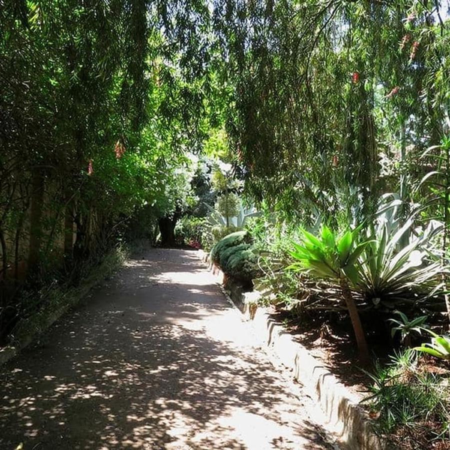 0.75 ac Land at Chalbi Drive - 6