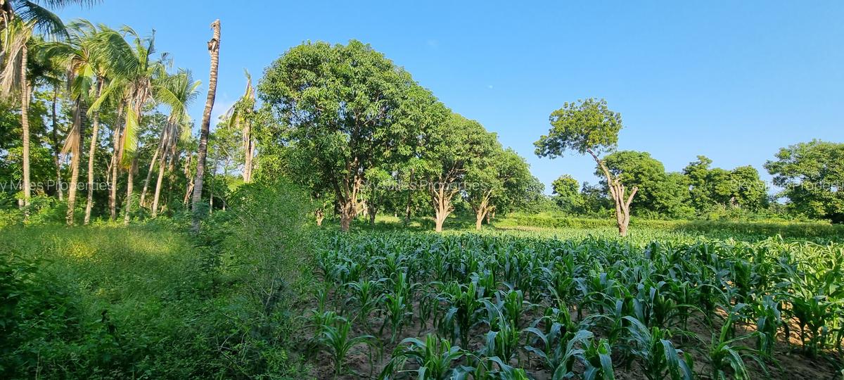 1 ac Land at Mtwapa - 12