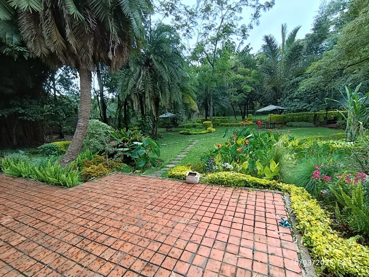 Commercial Property with Fibre Internet in Lavington - 6