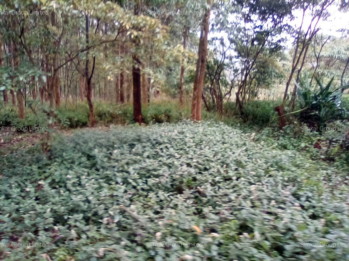 Land at Upper Matasia - 5