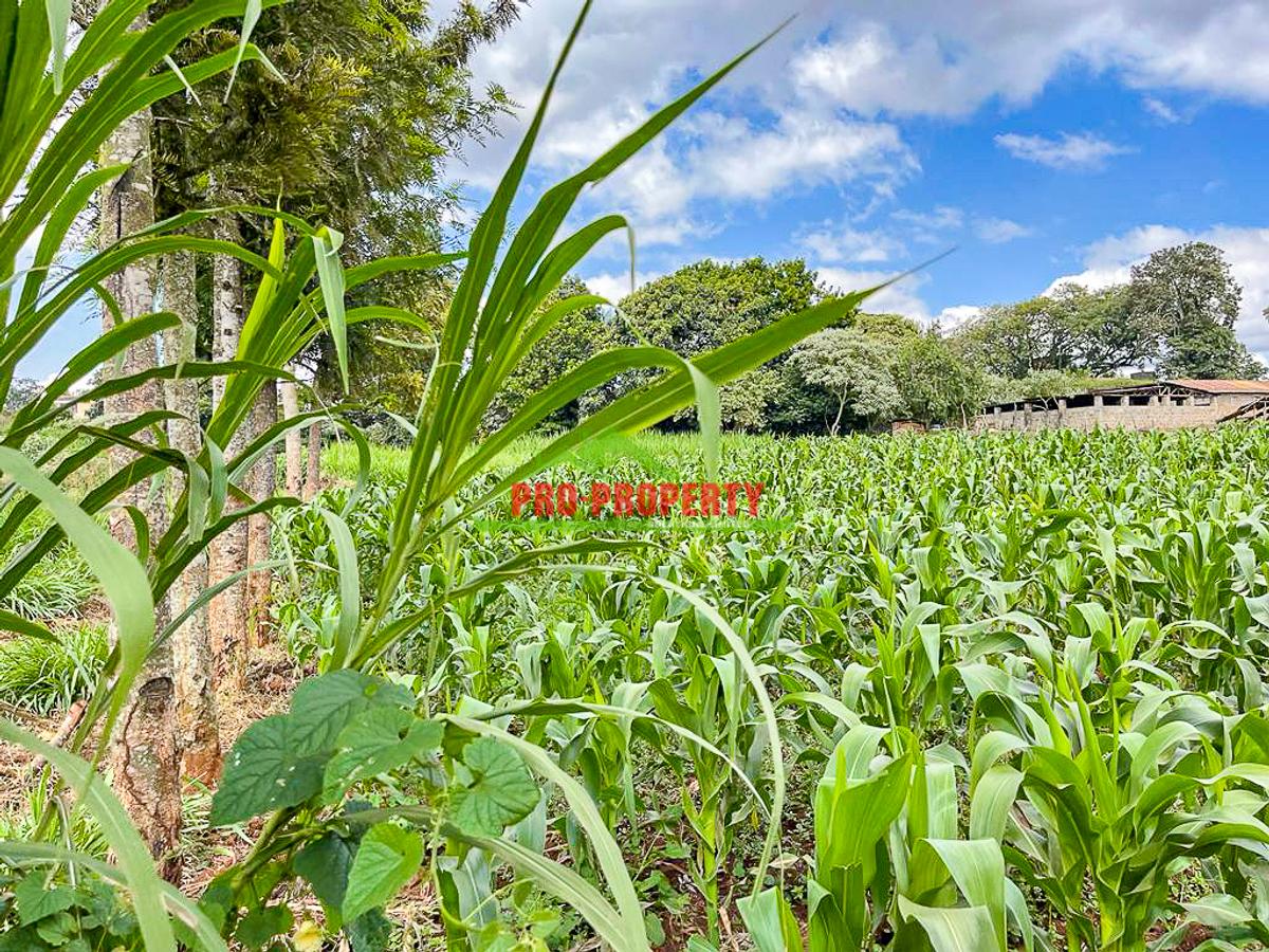 7.5 ac Land in Kikuyu Town - 2