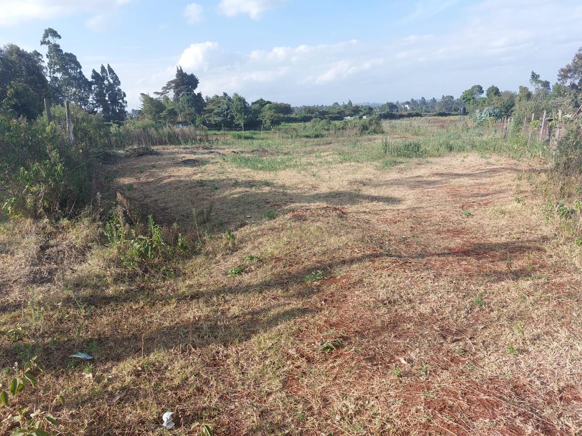 0.5 ac Residential Land at Near Gichuru High School - 6