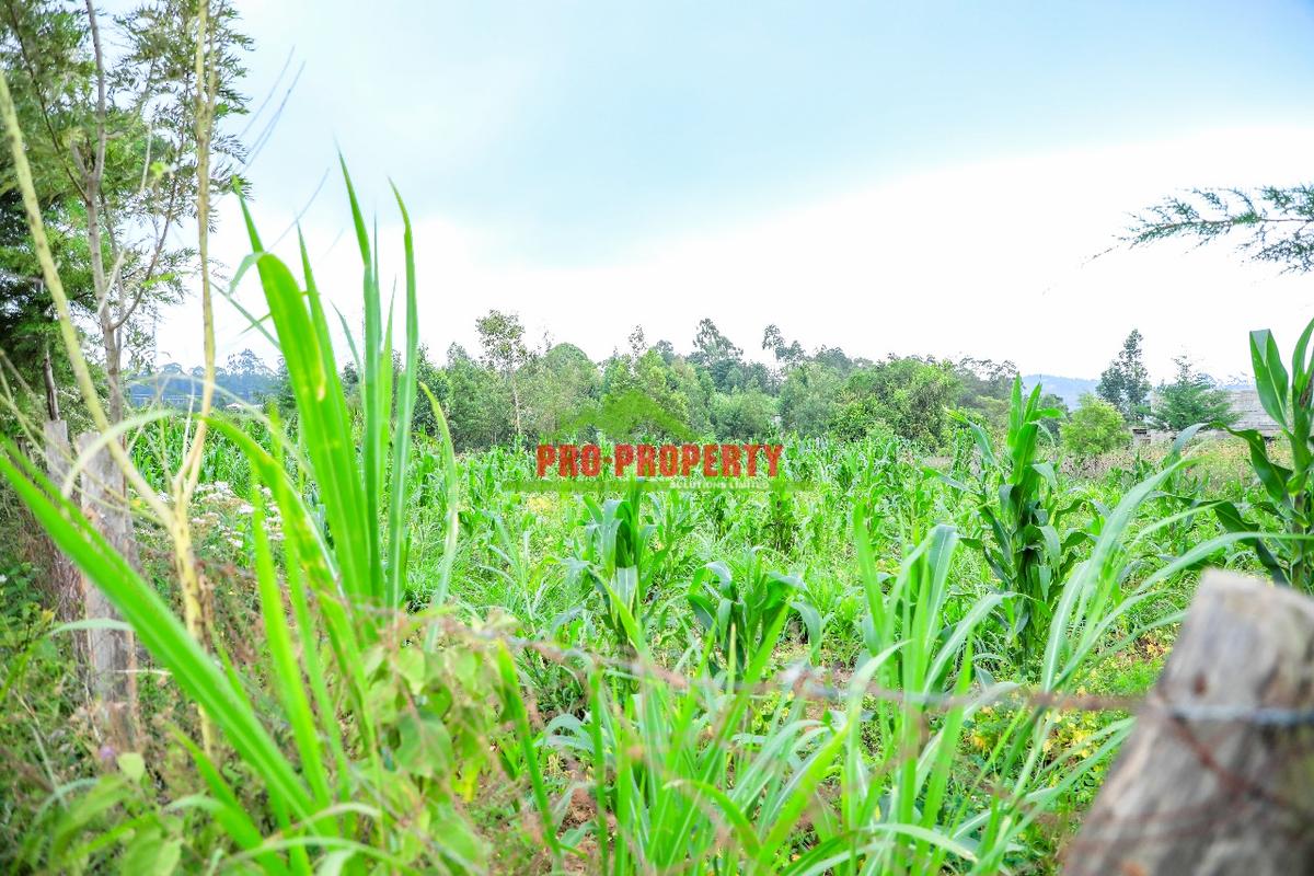 0.1 ha Residential Land at Kamangu - 6